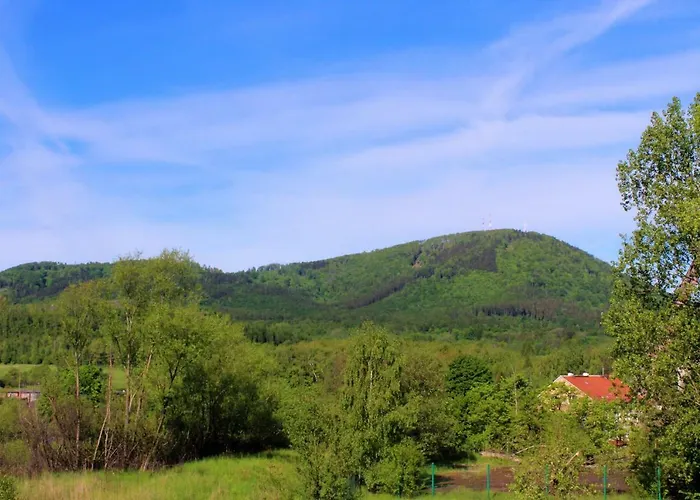 Bialy ואלבריץ'